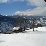Bodmi