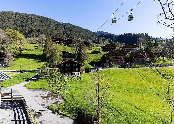 Bodmi מלון גרינדלוולד