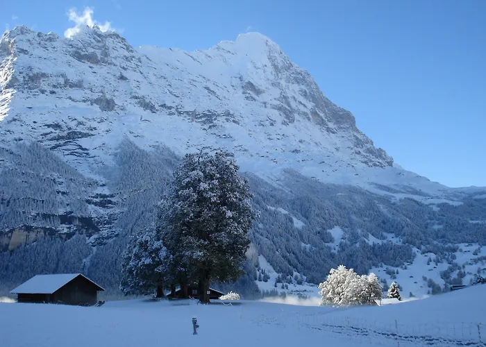Bodmi מלון גרינדלוולד