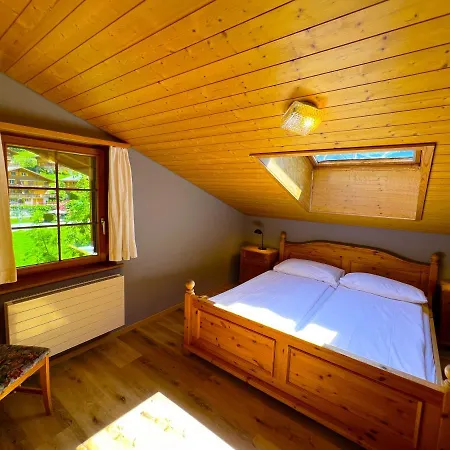 Hotel Bodmi