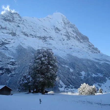 Bodmi 3* Grindelwald